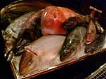 20090929192332.jpg