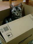 20100130204301.jpg