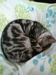 20100530195504.jpg