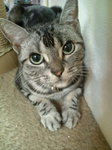 20100829201207.jpg
