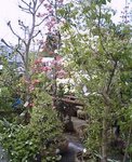 2006-0422-1315.jpg
