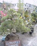 2006-0422-1316.jpg