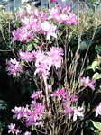 20090412153513.jpg