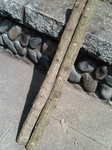 20090419103307.jpg