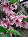 20100306122208.jpg