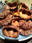 20100722193244.jpg