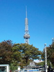 20101109100902.jpg