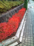 20101123094634.jpg