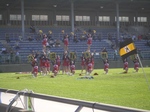 IMGP9306.JPG